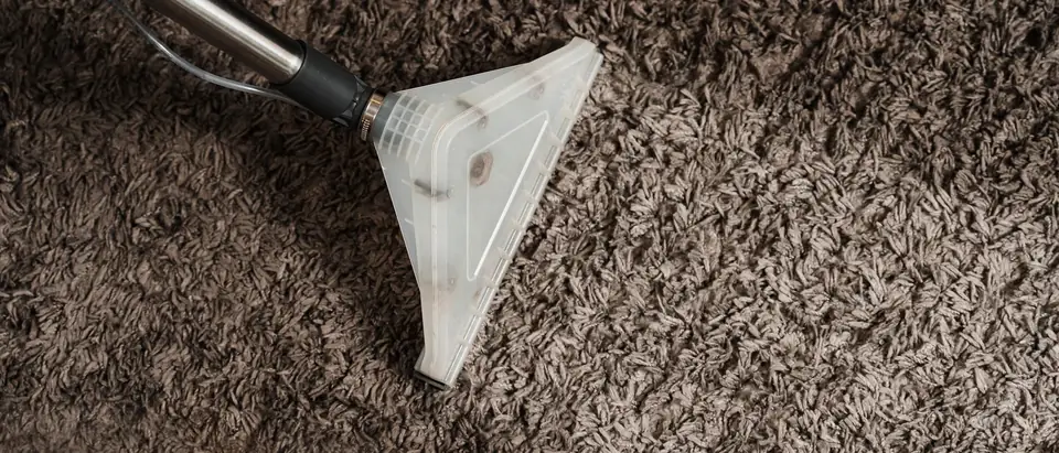 The clear plastic head of an extraction wand on a steel tube resting on brown shag carpet