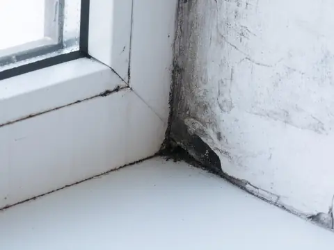 Dark mold spotting on a white plastered wall where it meets the corner of a white window frame and sill